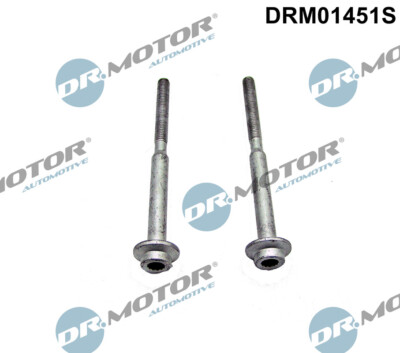 Dr.Motor Automotive DRM01451S Bolt, Fuel Injector Holder for Audi Seat Skoda