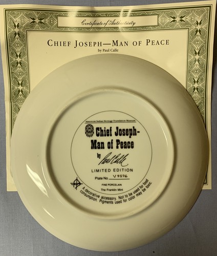 6 gebrauchte Franklin Mint Paul Calle Indianer 8 Zoll Sammelteller - Bild 6 von 12