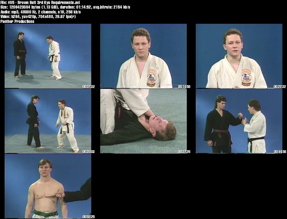 Judo: Beginner to Black Belt starring Keith Schwartz (17 DVD