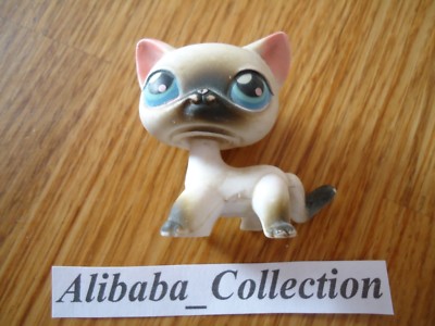 5 B Chat Europeen European Lps Littlest Petshop Pet Shop Hasbro Ebay