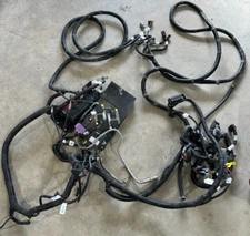 Perkins 854F Engine Harness WITH CEM  | WACKER NEUSON 1000434157 & 1000345681