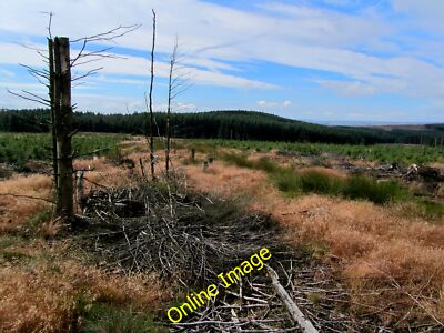 Photo 6x4 Clearing in the Plantation on Rombalds Moor looking South Addin c2013