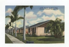 Vintage Postcard  FLORIDA  AVENUE OF ROYAL PALMS SARASOTA  LINEN  UNPOSTED TEICH