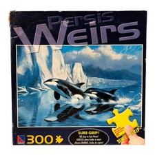 11794 - Glaciers Edge 300-Piece Used Jigsaw Puzzle GR-17