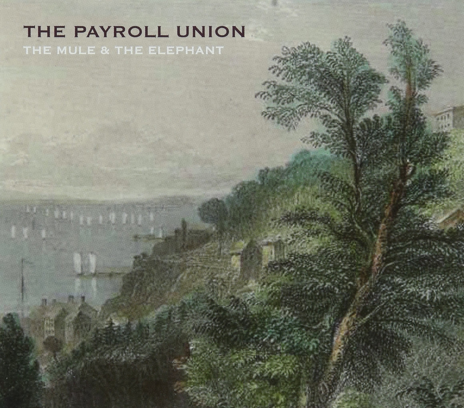 Payroll Union, The The Mule And The (CD)