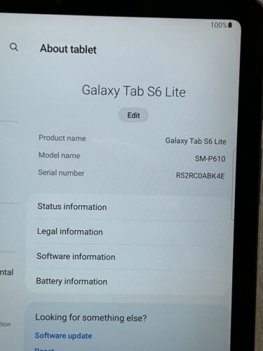 Samsung Galaxy Tab S6 Lite P610 10.4" 64GB Gris (WiFi) - Imagen 3 de 9