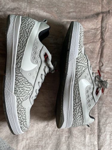 paul rodriguez jordans