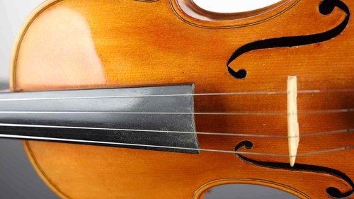 VIOLIno di gaetano pareschi - Imagen 8 de 24