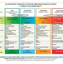 Image of Autonomic Nervous System Table: Laminated Card, Ba