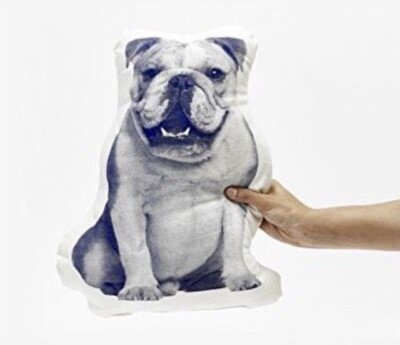 AREAWARE Kissen Fauna Mini, Englische Bulldogge, Bulldog, Hund. Biobaumwolle.
