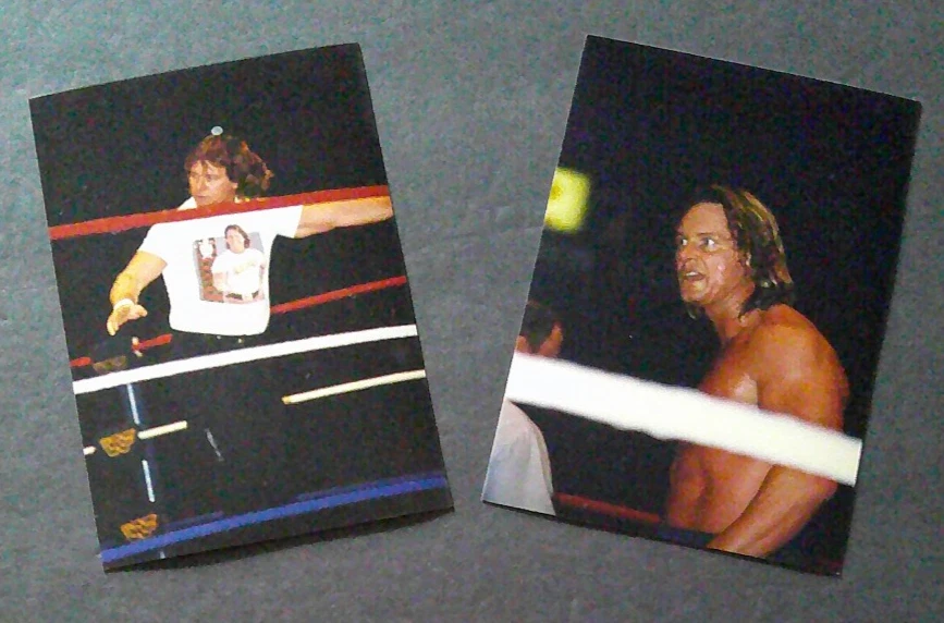 25+ Roddy Piper Wrestling Original Autographed Items for sale