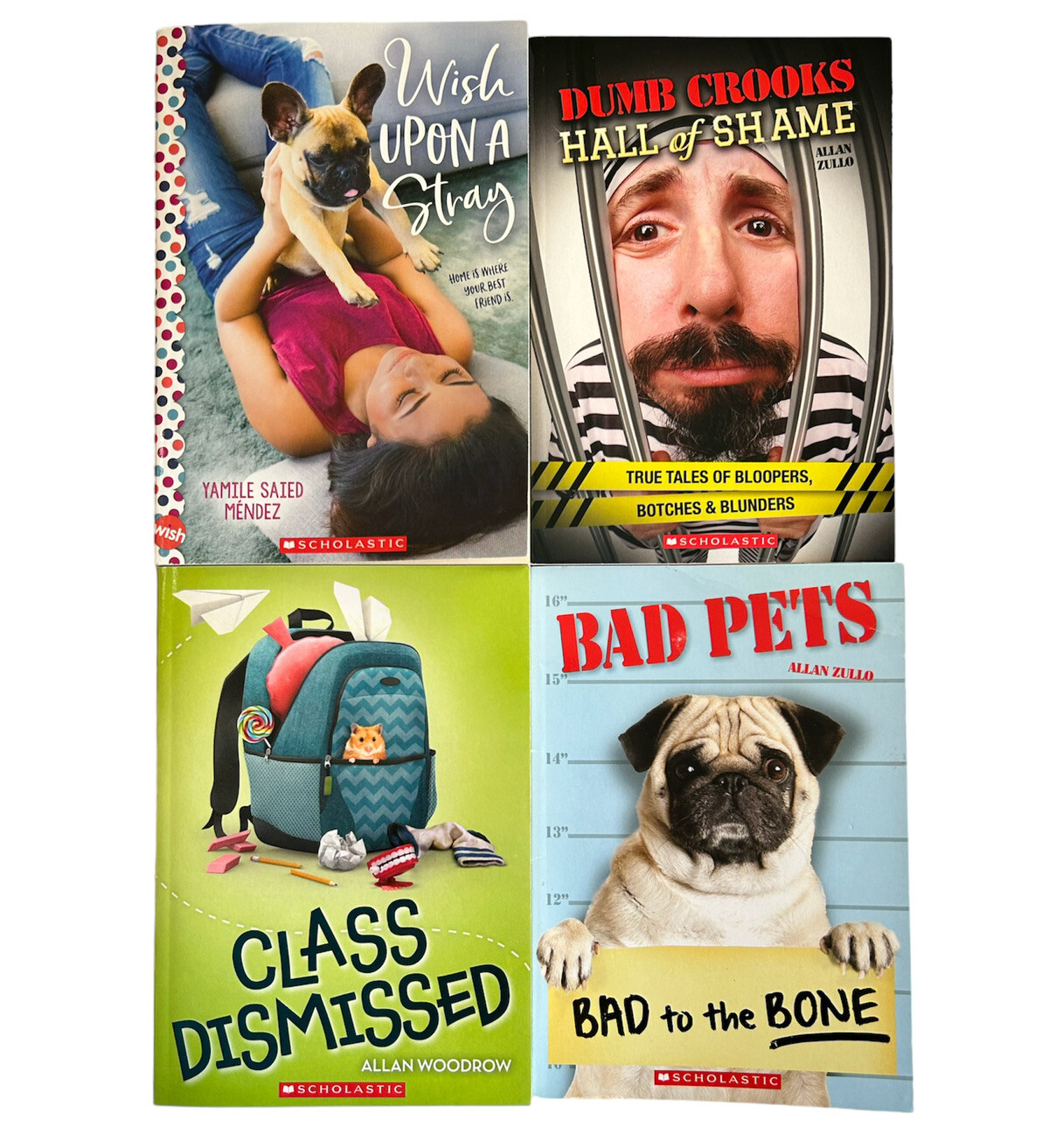 Scholastic Set Lot of 4 Books Reading Level Grade 4 5 6 EUC & GUC FREE ...