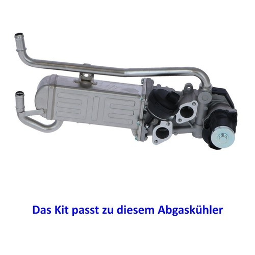 102Z. AGR Ventil Dichtung für VW Audi Seat Skoda 1.2 1.6 2.0 TDI CR 2 - Picture 4 of 5
