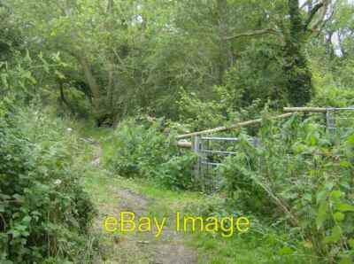 Photo 6x4 Bridleway towards Hoy's monument Chale Green From this point th c2007
