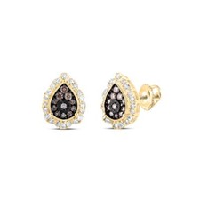10K Yellow Gold Brown Diamond Women's Cluster Teardrop Halo Stud Earrings 3/8 CT