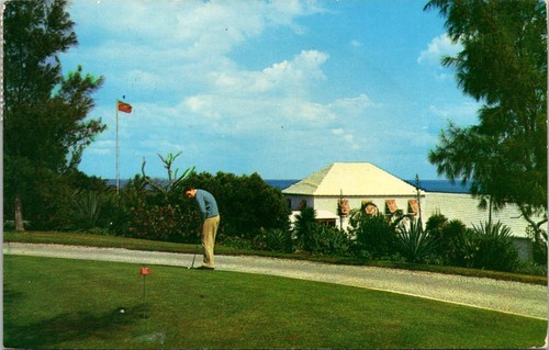 Paget Parish Bermuda Coral Beach Club Putting Green Golfplatz Postkarte