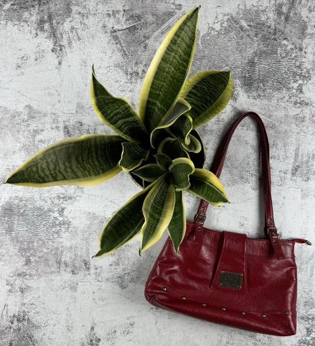 COACH Borsa a secchiello Dolce & Gabbana anni 90 vintage rossa lusso tracolla pelle italiana