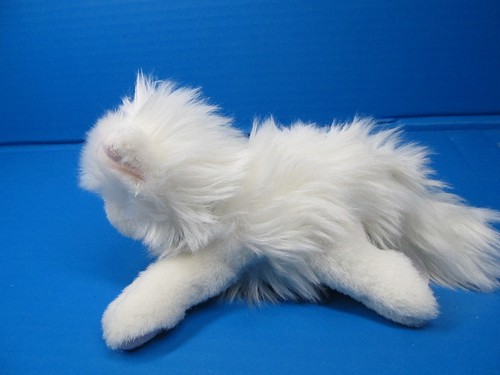 American Girl Isabelle’s Pet weiße Katze Tutu Stofftier Kätzchen Plüsch 6 Zoll 2014 - Bild 5 von 8