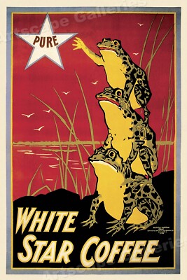 1899 White Star Coffee Vintage Style Frog Advertising Poster - 16x24