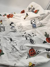 Pottery Barn Kids Peanuts Trick or Treat Hall...