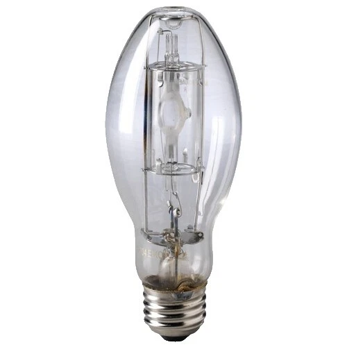 Glass Light Bulbs