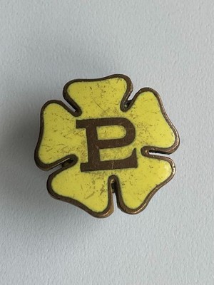 Primrose League Konservative Partei Politik Vintage Abzeichen