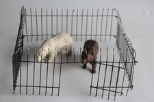 Bear Zoo Elastolin Hausser Composition Toy (67165)