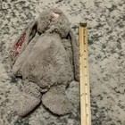 Foto 2 di 7