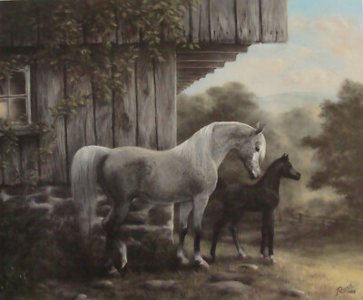 Deborah Rush - Kunstdruck - Araber Stute mit Fohlen ''Morning Light''
