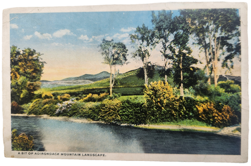 A Bit of Adirondack Mountain Landscape Linen Postcard 1916 Postmark