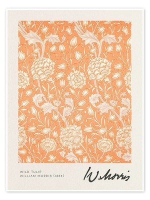Poster Wild Tulip - William Morris