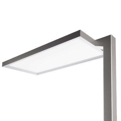 Lampada LED Per Piante Da Interno 100W – Luce Diurna A Spettro Completo, Doppia Testa Con Collo D'Oca Flessibile, Clip Da Tavolo, Lampadina Sostituibile E26/E27