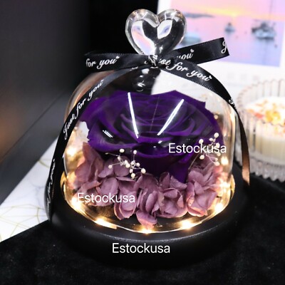 Eternal Rose flower Preserved rose everlasting rose flower gift with Led Light 
