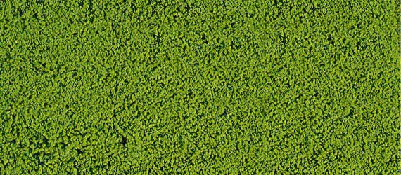 HEKI - Schiuma floccata verde chiaro 14x28 cm -  - HEK1600