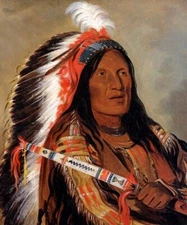 AMERICAN INDIAN CHIEF STEEP WIND WESTERN SIOUX LAKOTA BY GEORGE CATLIN REPRO