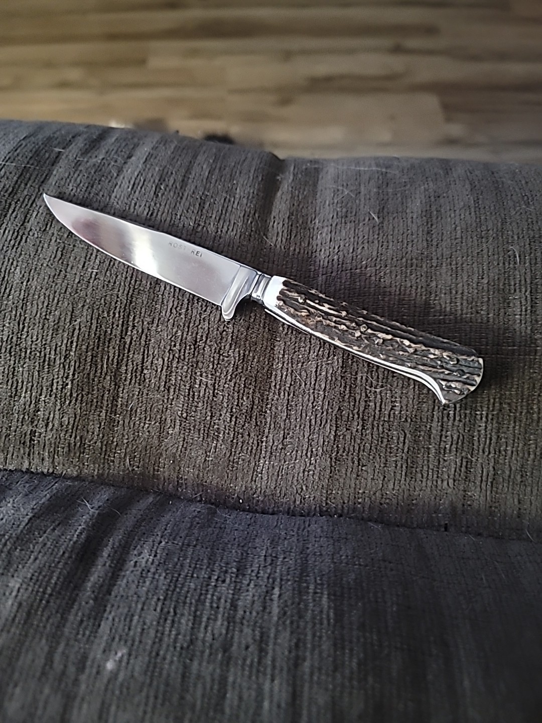 Solingen Germany Rostfrei  Hunting Knife,  Stag Handle