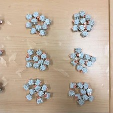 TTC Holy Panda V2 Tactile Switch - Unused