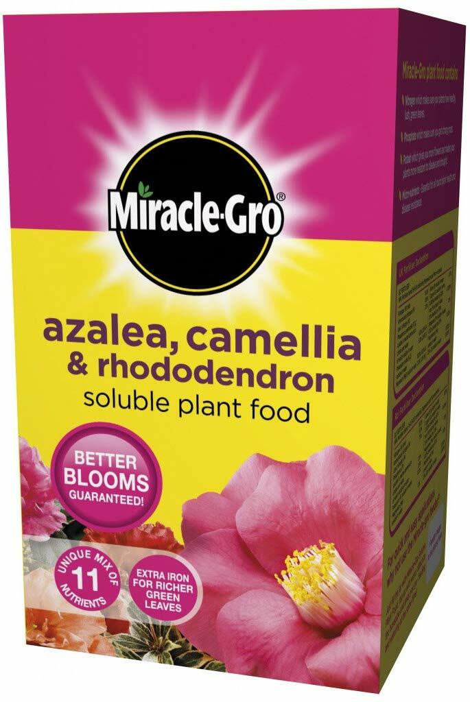 Miracle-Gro Azalea Camellia Rhododendron Soluble Plant Food Fast Acting 1kg - Image 2