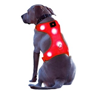 light harness for dog