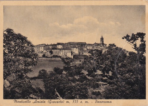 C18725-(TOSCANA-GROSSETO), MONTICELLO AMIATA, PANORAMA, 10 LIRE ARMED FORCES,1953 - Picture 1 of 3