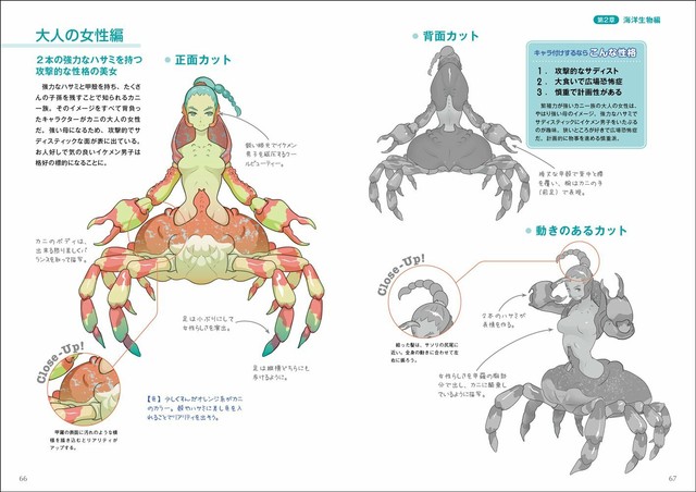 How To Draw Monster Girls Characters Anime Manga Illustration Technique Book For Sale Online Ebay