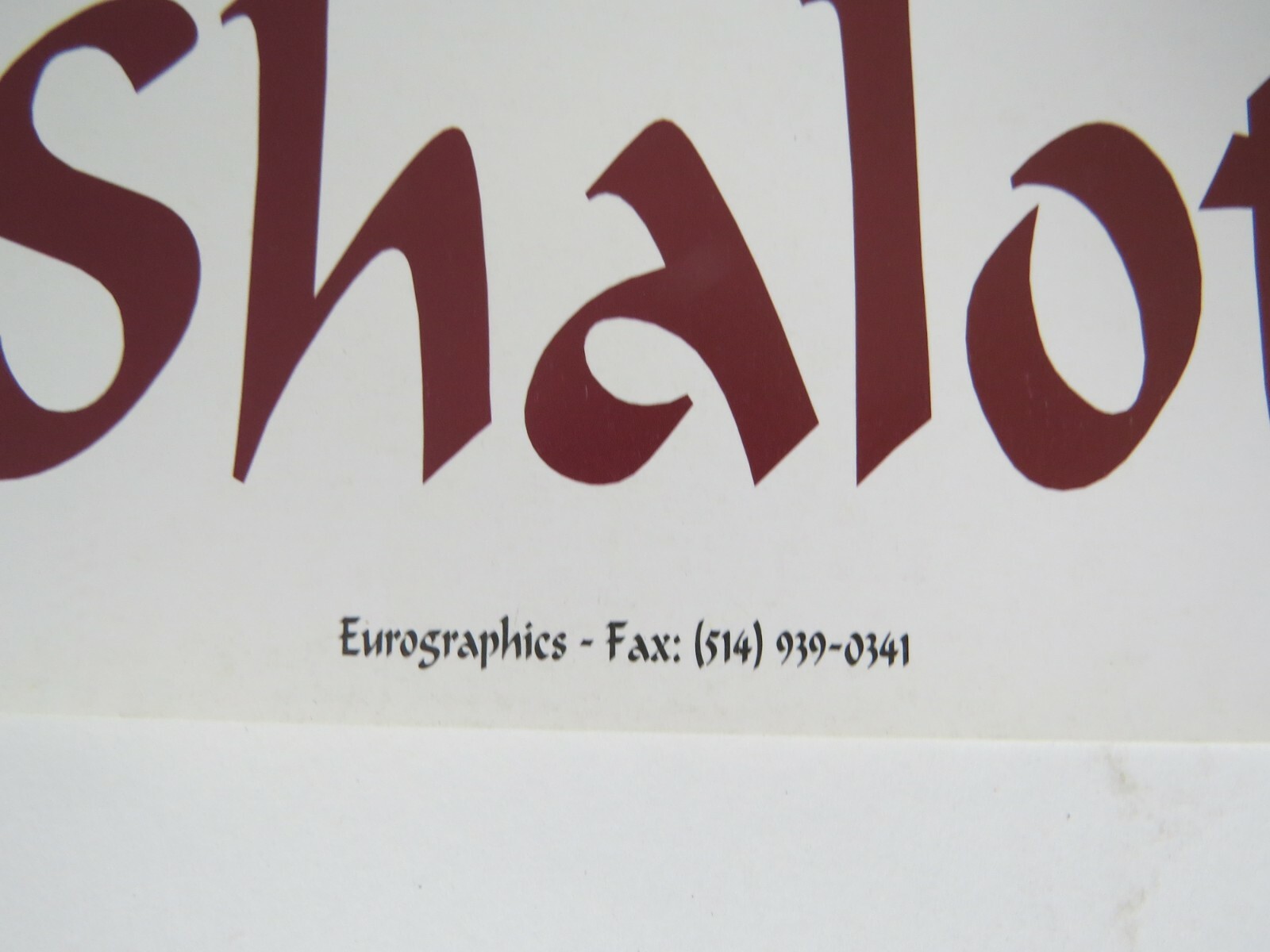 Art print poster Lithograph Lady of Shalott JW Waterhouse canoe female Medieval 