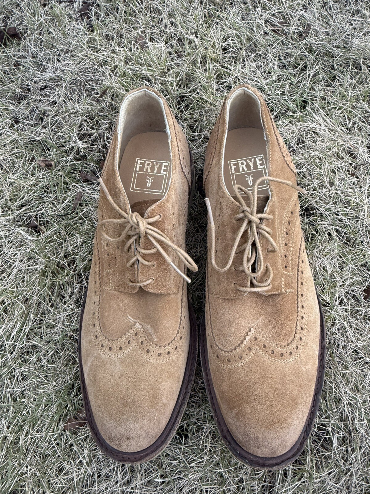 SAOLA Oxford uomo FRYE grano oliato scamosciato JIM ZEPPA WINGTIP taglia 8 5 D