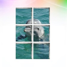 3D Bathroom Bathtub Self-adhesive Anti-slip Stickers Dolphin Pattern Wallpaper