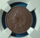 1907 Indian Head Cent - NGC XF Details -(073)
