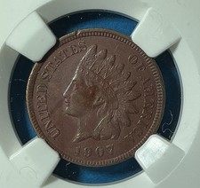  on The Hot Collector