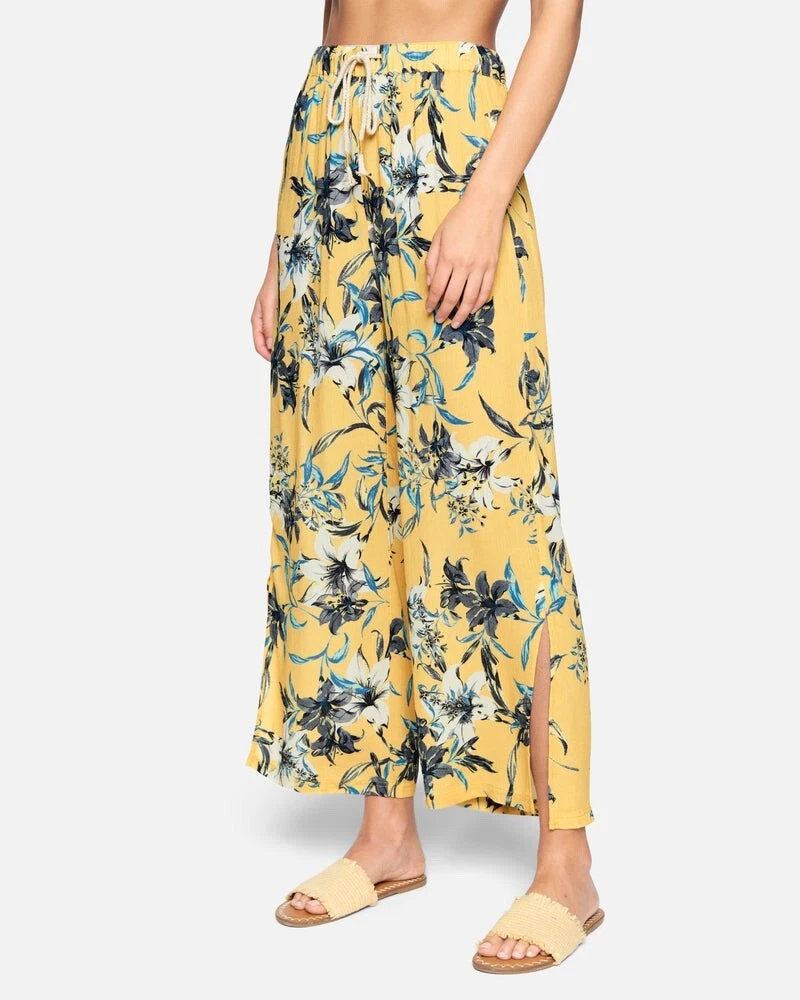 Fbb hotsell palazzo pants