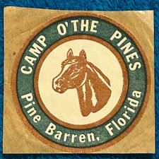 1960's Camp O'The Pines- Pine Barren, Florida Decal Unused Vintage Original