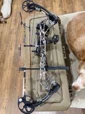 Left Handed Bear Species