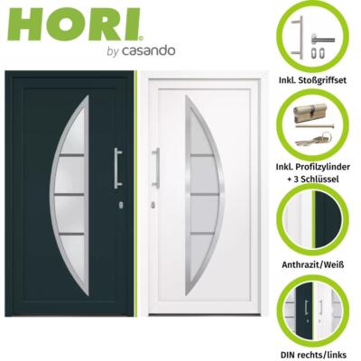 HORI Kunststoff Haustür Curve